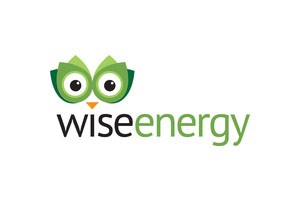 Wise Energy Solutions Ltd